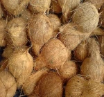 Semi Husked Coconut - HS Code 0801.12.00