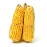 Non GMO Yellow and white Corn Maize