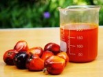 Crude Palm oil for sale