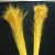 Import bleached dyed peacock feather from China
