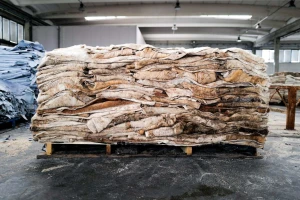 Wet salted Cow Hides Wet Blue Cow Hides Raw Cow Hides
