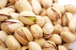 Premium Quality Pistachio Nuts