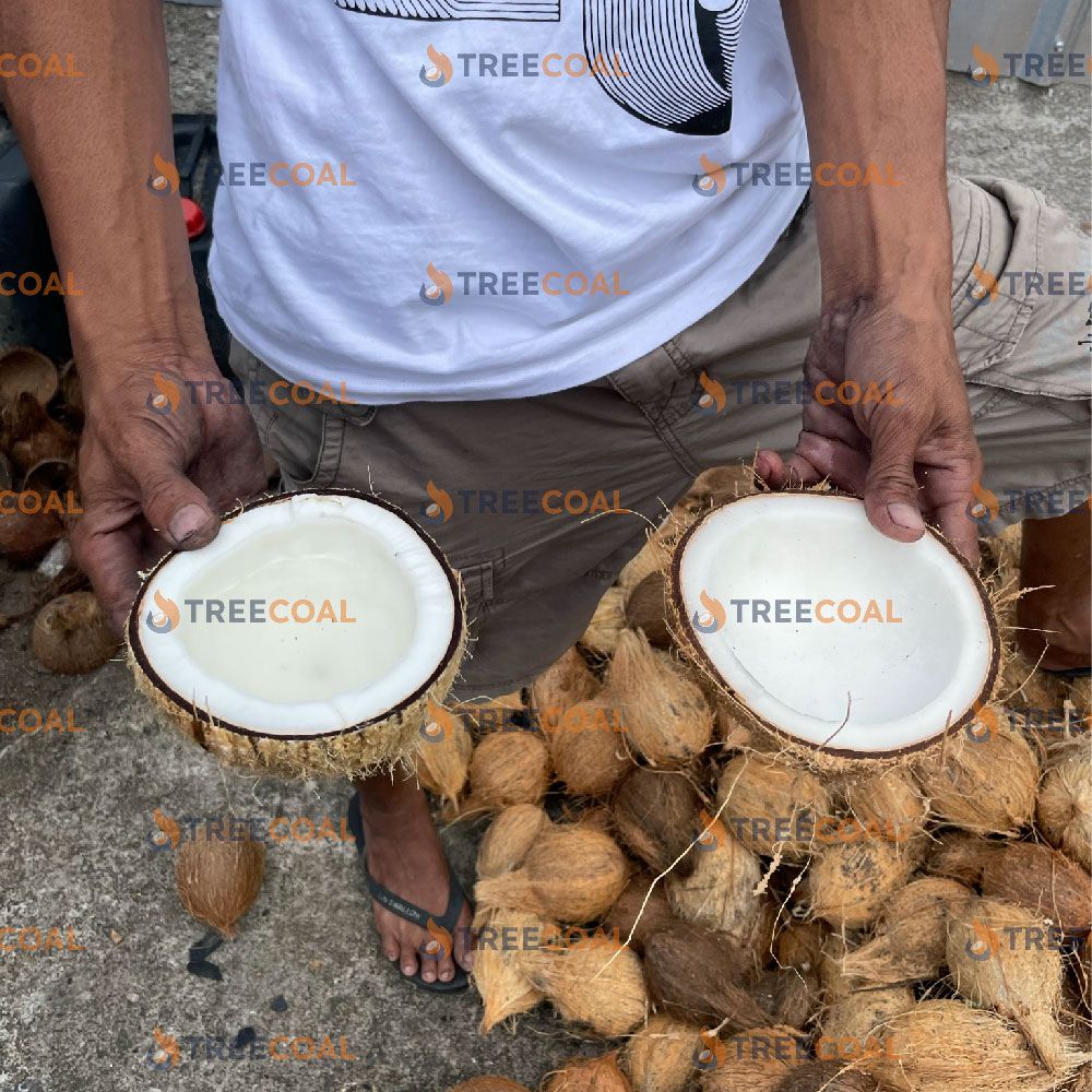 Buy Semi Husked Coconut from treecoal, Indonesia