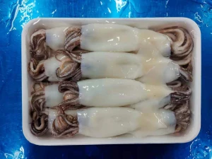 Whole Cleaned squid/squid ring/squid tube (Todadores or ilex)