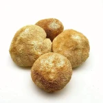 Healthy Food Dried Lions Mane Mushroom