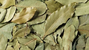 Bay Leaves(Laurus nobilis)