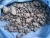 Import Minerals and mineral products from Ethiopia