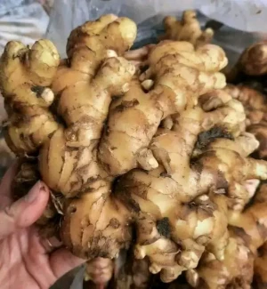 Fresh ginger