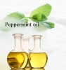 China Supply Natural Peppermint Oil CAS 8006-90-4