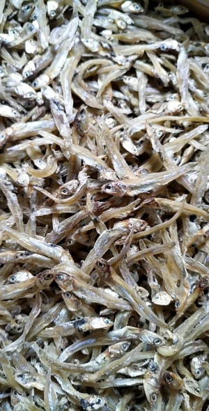 Best Price - Dried Anchovy from Vietnam