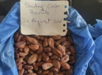 High Grade Sundry Cocoa and Coffee Beans Available (Large Scale and long Term Supplies)