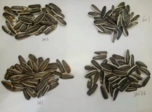 Sunflower seeds  361 363 601