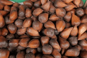 snake fruit