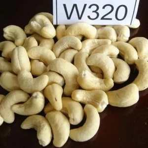 Cashew Nuts (Raw & Processed)