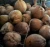 Import Semi Husked Coconut - HS Code 0801.12.00 from Indonesia