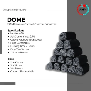 Coconut Shell Charcoal Briquette - Dome Shaped