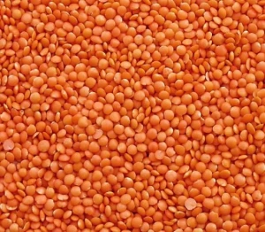 Whole Red and Split Lentils, Beans Lentils Green Lentils