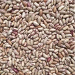 High Quality Pinto Beans Bulk Supply Fresh Natural Raw Dried Pinto Beans for Sale with Best Price and Premium Grade