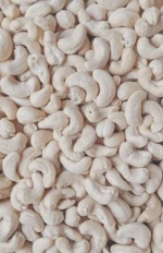 Export Grade Cashew Kernels | WW320/WW240 Available | Vacuum Packed | Trial Orders Supported