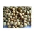 Import Soybean Meal For Sale Cheap Premium Soybean Meal Perfect For Livestock Poultry Animal Feed from Kenya