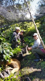 Speciality green coffee from Ecuador