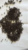 Premium Black Pepper-whole & powder from Madagascar