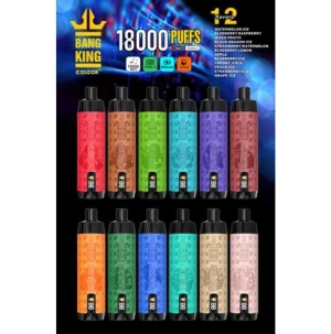 Buy Bang King 18000 Puffs Mesh Coil 0%2%3%5% Nicotine Rechargeable E- cigarette Disposable Vape from Donggaun Daheng Technology Co., Ltd., China  | Tradewheel.com