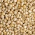 Import Direct Factory Price 100% Pure Natural Organic Sorghum Grains Kernel Seeds from South Africa