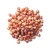 Import Direct Factory Price 100% Pure Natural Organic Sorghum Grains Kernel Seeds from South Africa