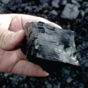 Buyers of Indonesian Coal are Welcomed for Discounted Rates