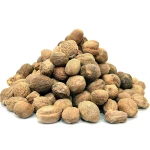 Export Quality Whole Nutmeg Spices Fresh Aroma Rich Flavor Ideal for Food Seasoning