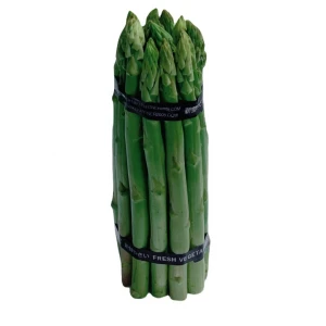 Asparagus green Fresh at competitive price supplier from Peru