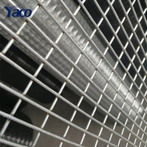 10 14 gauge 10x10 pvc coated galvanized welded iron wire mesh roll for bird / chicken / rabbit cages philippine manufacture