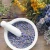 Import 100% natural best price Chinese Organic Dried Lavender Flower from China