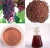 Import 100% Natural Grape Fruit Seed Extract 95 Proanthocyanidine Powder from China