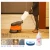 Import 175rpm 19inch multifunctional floor burnisher for floor and carpet cleaning from China