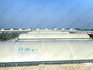 2016 Hot Sales Double Membrane Gas Holder for Biogas