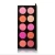 Import New No Logo 10 Color Cosmetic Cheek Blush Makeup, Blusher Palette from China