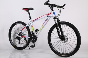 2019 hot sale bicycle customized variable speed 26 inch mountain bike