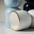 Import 2019 new design Iris interior decorative ceramic flower vase for home decor from China