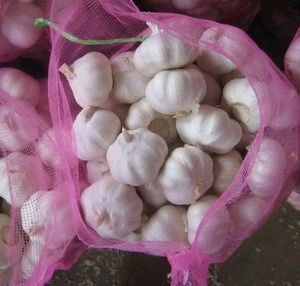 2019 Selling the excellent quality cost-effective products fresh garlic