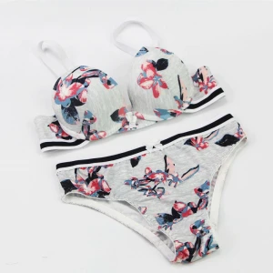 2020 New Everyday Panties and Bra Sets Push Up Bow Floral BCDE Cup Underwear For Womens Plus Size Lingerie