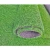 Import 2021 Chinese artificial grass,turf grass,football grass from China
