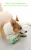 Import 2021 new Durable Rope Dog Chew toy Pet Dog Chew Interactive Toys Safe Bite Resistant Dog Rope Chew Toy from China