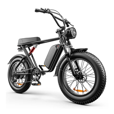 2023 new design fat tire ebike lithium battery aluminum alloy electric bicycle steel frame electric city road mountain bike