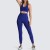 Import 2pcs Seamless Women Yoga Set Workout Sportswear Gym Clothing Fitness Sports Bra High Waist Leggings Sports Suits from China