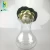 Import 500ml round clear 2015 Fasion plastic vase from China