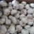 Import 5.5cm Fresh Normal White Garlic from China