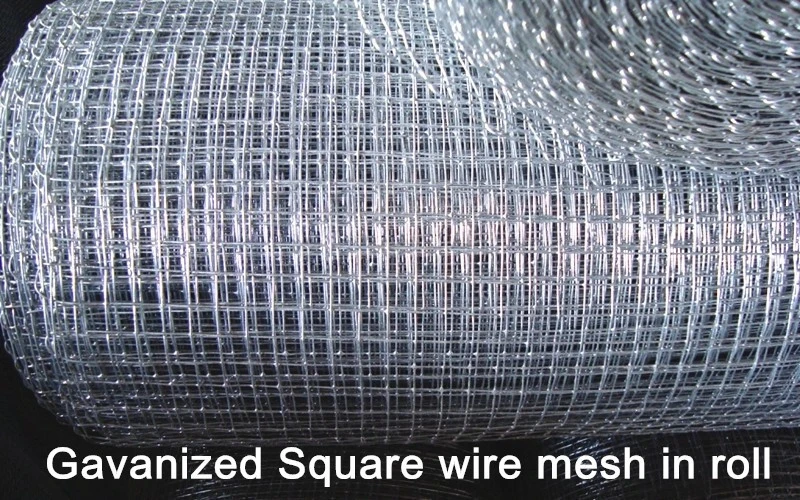5x5 8x8 10x10 mesh electro galvanized coffee tray wire netting