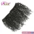 Import 7 Pieces Virgin Indian Human Hair 7A XBL Long Curly Clip In Human Hair Extension from China